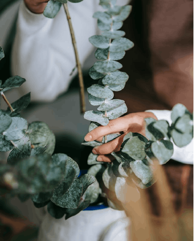 liberation emotionnelle